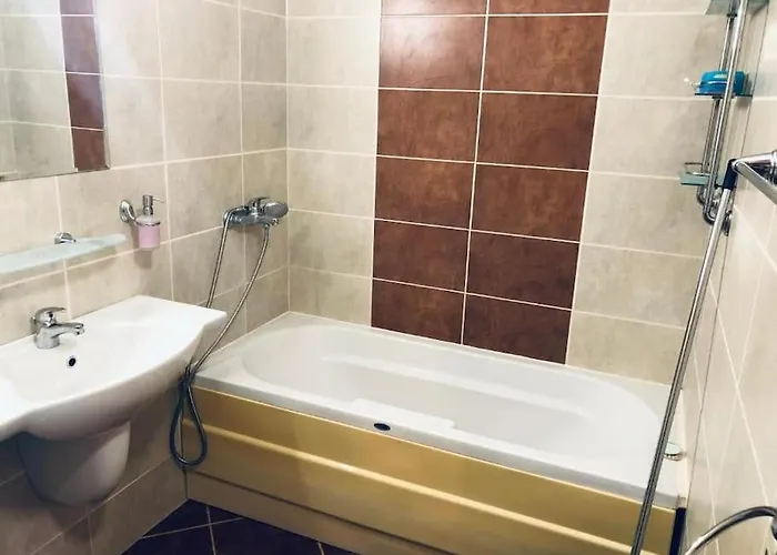 сънрайз данаилов オブゾー