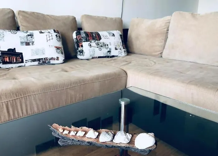 сънрайз данаилов