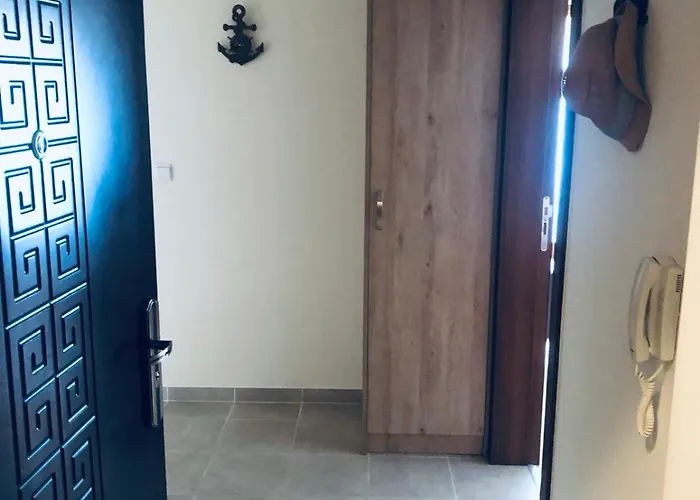 сънрайз данаилов * Obsor